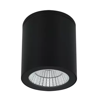 Потолочный уличный светильник Arte Lamp TORCULAR A1813PF-1BK