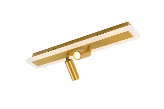 Спот ArteLamp TOMMY A2607PL-22GO