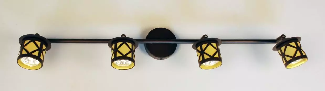 Спот CitiLux настенно-потолочный Гессен CL536541