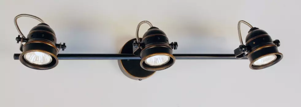 Спот CitiLux настенно-потолочный Веймар CL537531