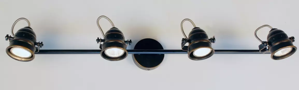 Спот CitiLux настенно-потолочный Веймар CL537541