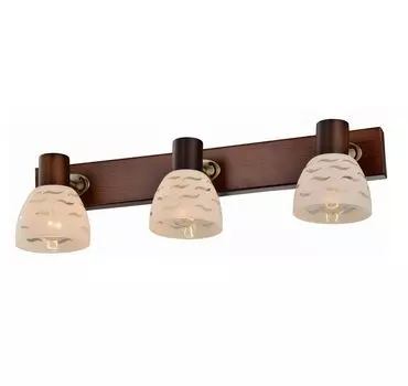 Спот Toplight Shayla TL3730Y-03BB