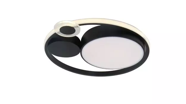 Светильник потолочный ARTE LAMP STOCKHOLM A2690PL-1BK