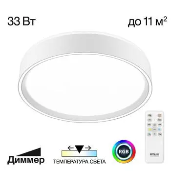 Светильник потолочный Citilux BOSS CL751250G