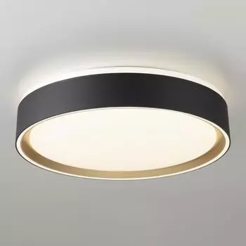 Светильник потолочный Citilux BOSS CL751251G