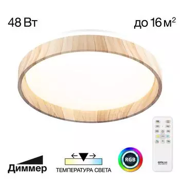 Светильник потолочный Citilux ENZO CL753352G