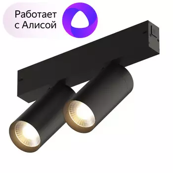 Светильник трековый Denkirs Smart DK8012-BK