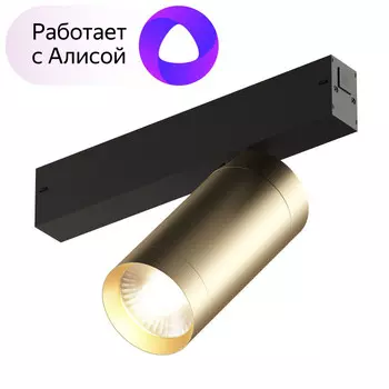 Светильник трековый Denkirs SMART SPOT DK8020-BG