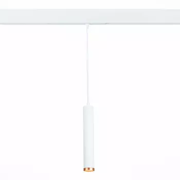 Светильник трековый ST Luce подвесной ST659 ST659.593.10