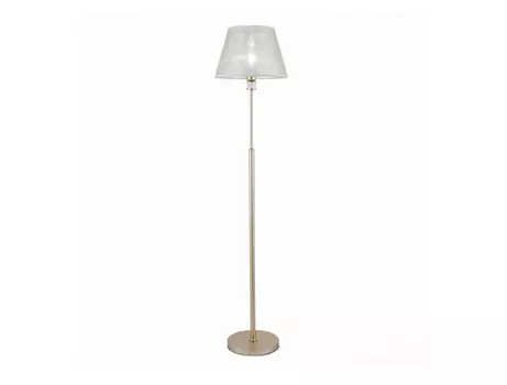 Торшер Evoluce MANILA SLE107505-01