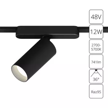 Трековый светильник Arte Lamp RAPID A2958PL-1BK