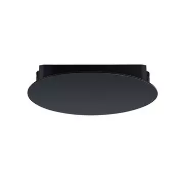 Трековый светильник ArteLamp RAPID A6163PL-1BK