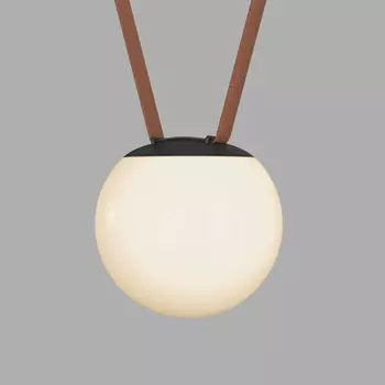 Трековый светильник Denkirs BELTY ORB DK5551-BK