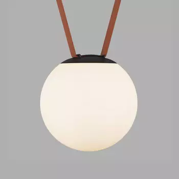 Трековый светильник Denkirs BELTY ORB DK5553-BK