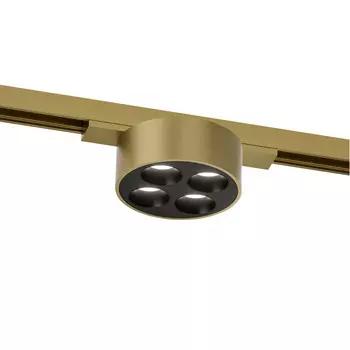 Трековый светильник Denkirs SHINE GRILL DK5772-SB