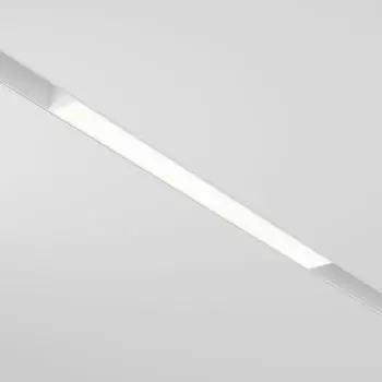 Трековый светильник Maytoni Basis TR030-2-12W3K-W