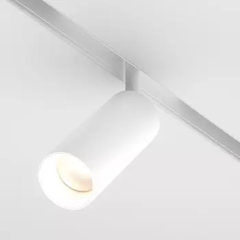 Трековый светильник Maytoni Technical Focus TR032-2-12W4K-S-W