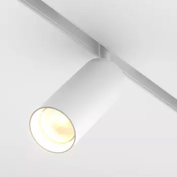 Трековый светильник Maytoni Technical Focus TR032-2-20W3K-S-W