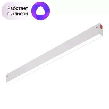 Трековый светильник однофазный Denkirs Smart DK8005-WH