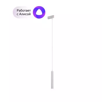 Трековый светильник однофазный Denkirs Smart DK8008-WH