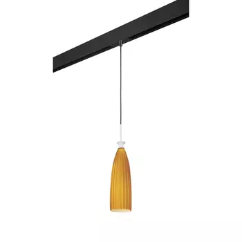 Трековый светильник подвесной Lightstar Agola PRO810013