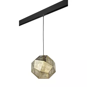 Трековый светильник подвесной Lightstar Fermo PRO724112