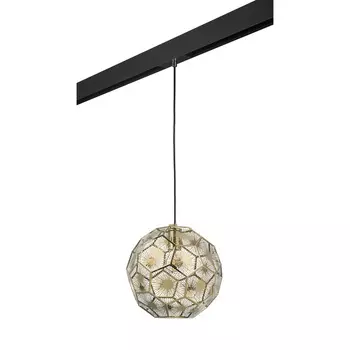 Трековый светильник подвесной Lightstar Fermo PRO724212