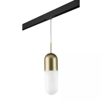 Трековый светильник подвесной Lightstar Ramo PRO690113