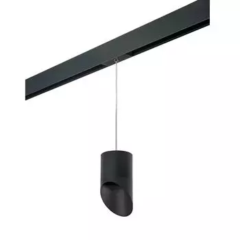 Трековый светильник Rullo для трека PRO Lightstar Rullo PRORP348787