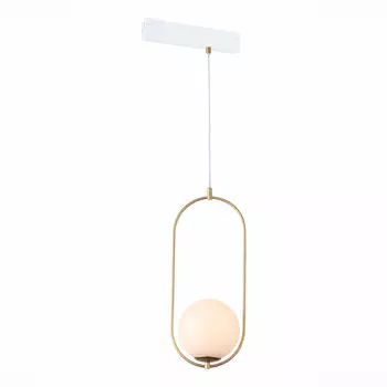 Трековый светильник ST LUCE SKYLINE 220 ST500.203.01