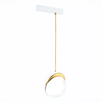 Трековый светильник ST LUCE SKYLINE 220 ST501.323.01