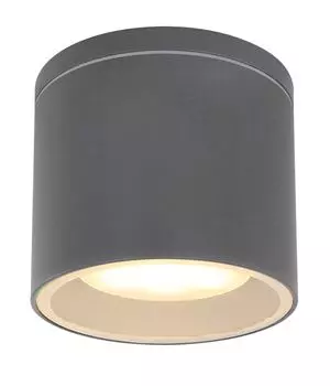 Уличный потолочный светильник ALCALA 32063A