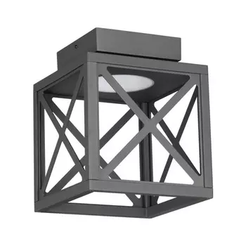 Уличный потолочный светильник DANTELA 358449