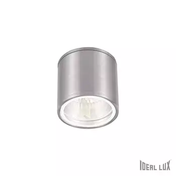 Уличный потолочный светильник Ideallux GUN PL1 ALLUMINIO