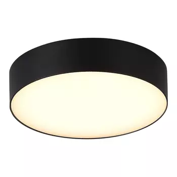Уличный потолочный светильник ST LUCE SUN SL9518.402.01
