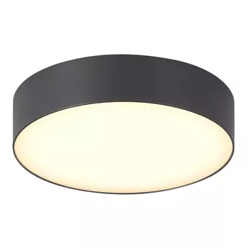 Уличный потолочный светильник ST LUCE SUN SL9518.702.01