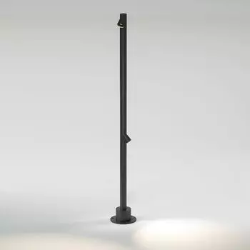 Уличный светильник садово-парковый Elektrostandard Rone a066698