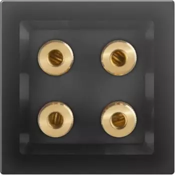 Акустическая розетка (черный матовый) WL08-AUDIOx4 Werkel