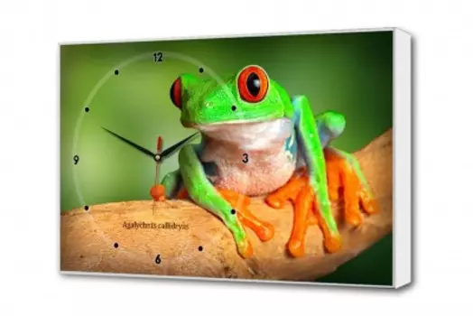 Часы-картина TL-C5023 TOPLIGHT