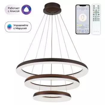 Citilux CL730A155S
