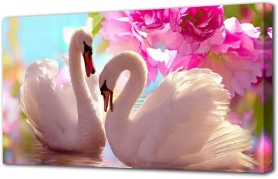 холст TL-H1200 TOPLIGHT