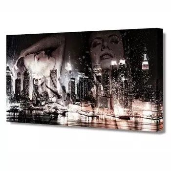 Холст TL-H3041 TOPLIGHT