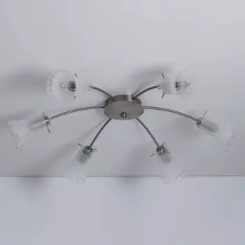 Люстра потолочная Citilux CL106161 Дана