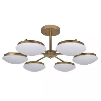 Люстра диодная Favourite 2476-6P