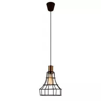 Люстра Favourite 1595-1P Dock