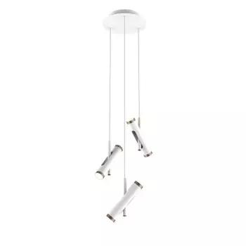 люстра подвесная Favourite 2325-6P Duplex