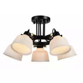 Люстра потолочная St luce SL714.402.05
