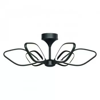 Люстра светодиодная Favourite 2563-6U