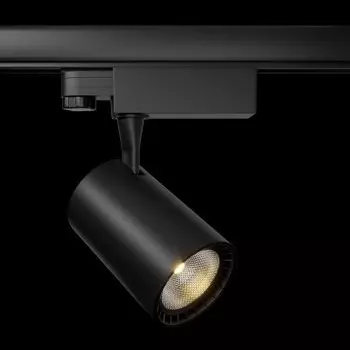 Maytoni TR029-3-20W4K-B