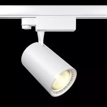 Maytoni TR029-3-30W3K-B